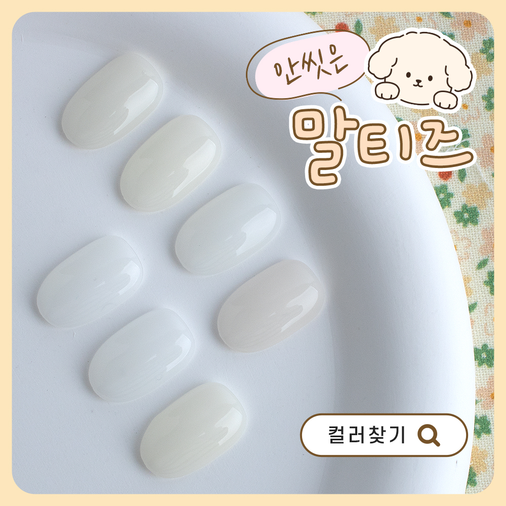 [모음전] 브랜드별 안씻은말티즈 컬러찾기 🐶