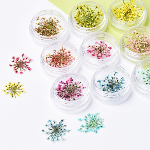 드라이 플라워 투톤 레이스 9종세트(그라데이션 생화)