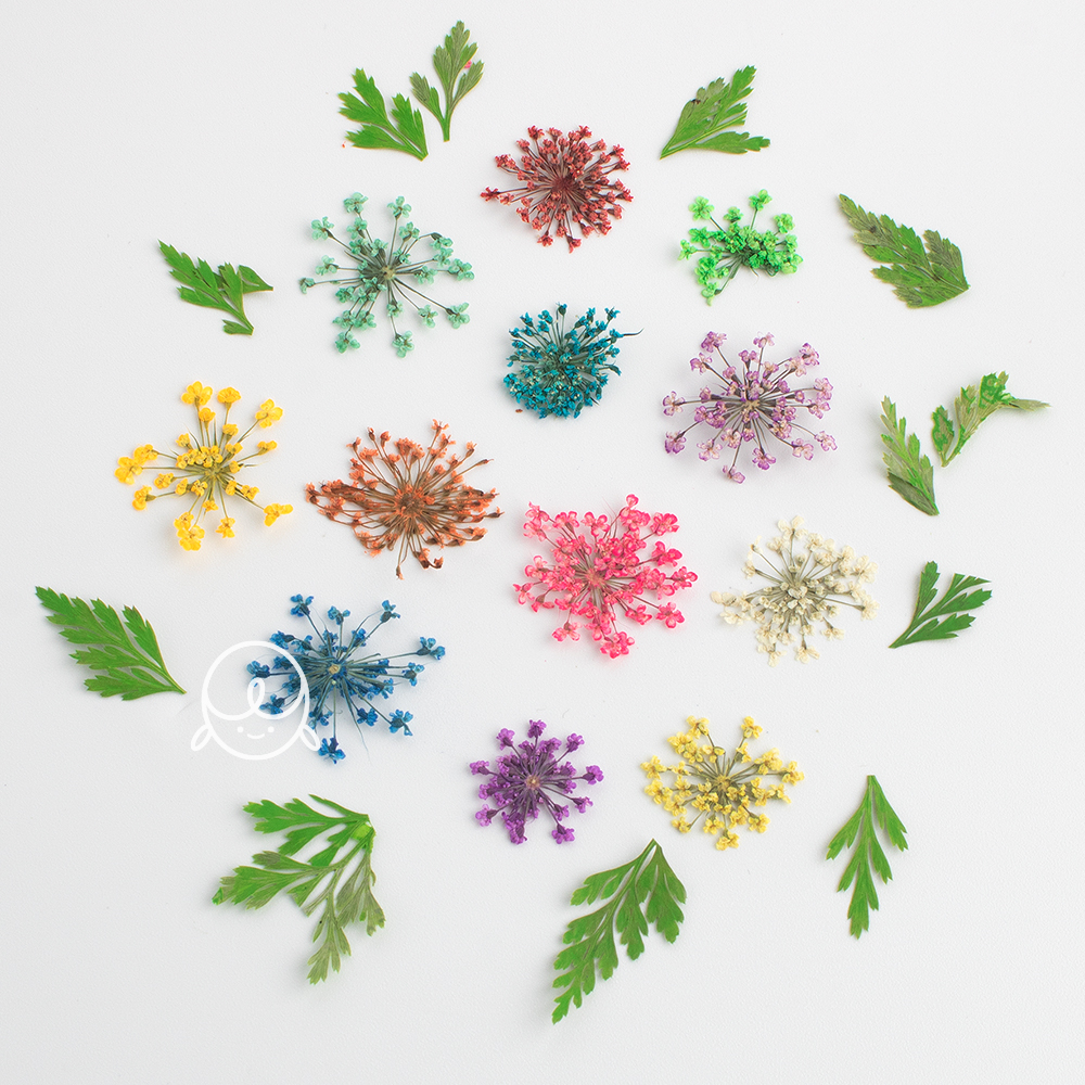 네일생화 글리터 레이스&잎 12종세트 봄네일